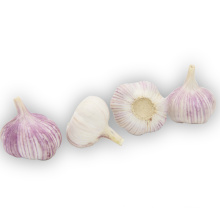 Buy new crop Chinese red garlic fresh normal white in bulk garlic wholesale price fresh garlic for sale